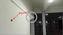 Bouncing-Ball