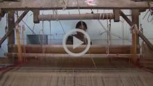 Cotton Sari Weaving - Yadgiri
